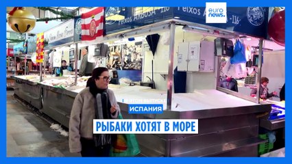 Новости дня | 11 декабря — дневной выпуск