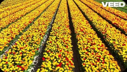 Discover Pakistan_ A Land of Wonders