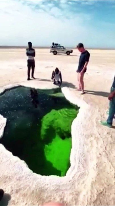 Viral Video