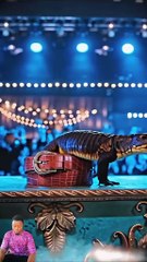 Amazing video Amarca got talent show