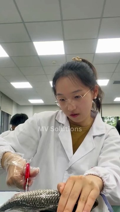 Chinese TikTok-DIY Magic: Create Something Amazing