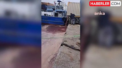 Giresun'da Kamyonun Denize Kirli Atık Boşaltması Tepkileri Arttırdı