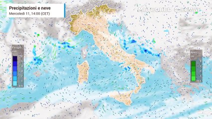 Mappa relativa alle precipitazioni
