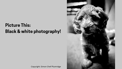 Picture This: Black & white photography