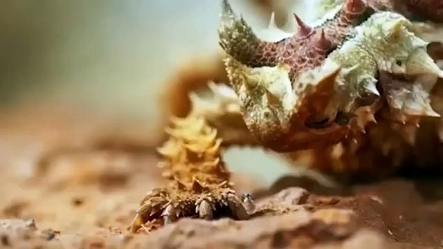 ما إكتشفه العلماء في الصحراء أرعب العالم ! What scientists discovered in the desert terrified the world!