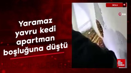 Bolu'da yaramaz yavru kedi, apartman boşluğuna düştü
