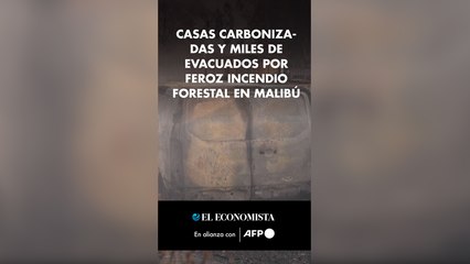 Casas carbonizadas y miles de evacuados por feroz incendio forestal en Malibú