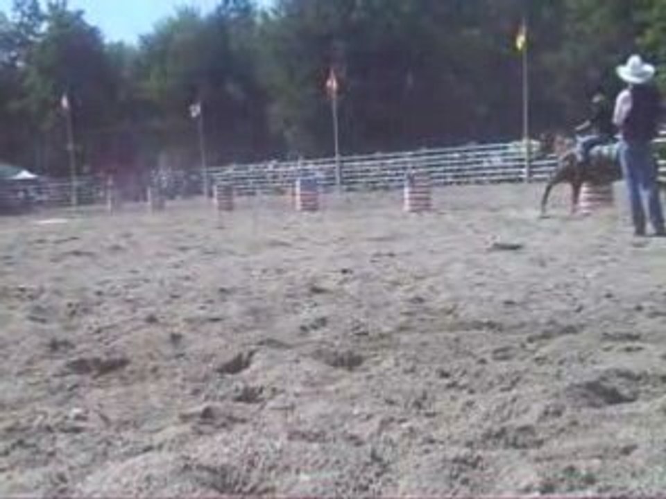 Pole bending 2 (obersoultzbach)