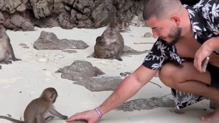 Man plays with baby monkey but steps back as mother monkey arrives