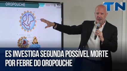 ES investiga segunda possível morte por febre do Oropouche