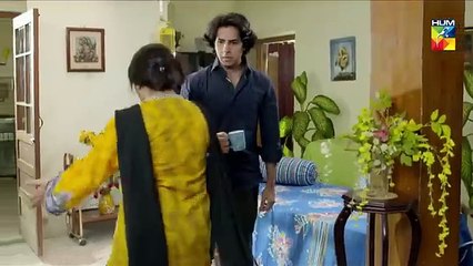 Pyar Ke Sadqay Episode 3 HUM TV Drama 6 February 2020