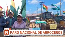 paro nacional de arroceros