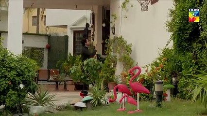 Pyar Ke Sadqay _ Episode 5 _  Yumna Zaidi _ Bilal Abbas _ Shra Asghar _ Yashma Gill _ HUM TV Drama