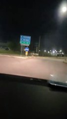 I Lupi si aggirano a Sambuceto. Eccone uno con un gatto predato in bocca