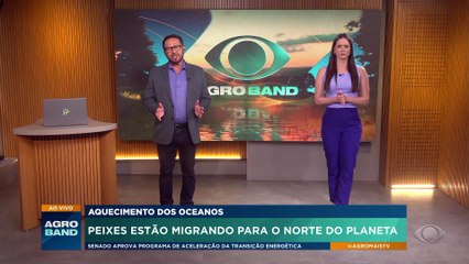 Mudanças climáticas provocam migração de peixes para hemisfério norte