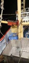Des milliers d'oiseaux migrateurs font une petite pause sur un bateau