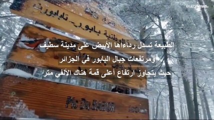 بعد ثلاثة أشهر من الجفاف.. سيريف الجزائرية ترتدي حلتها البيضاء مع أول تساقط للثلوج