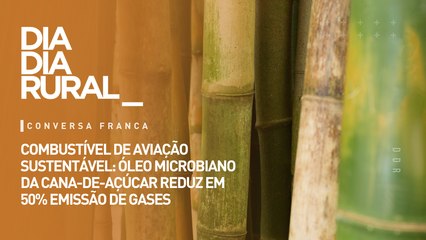 Combustível de aviação sustentável: óleo microbiano da cana-de-açúcar reduz em 50% emissão de gases