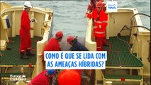 Como é que lidamos com as ameaças híbridas nos Estados Bálticos?
