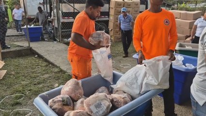 IMA distribuye 3,000 piezas de jamón en naviferia de Almirante