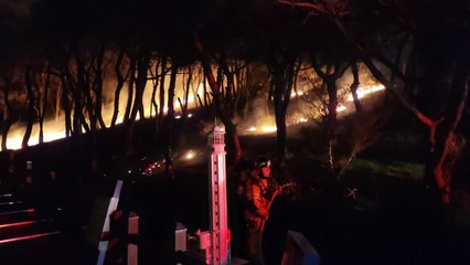 제주도 우도에서 산불...다친 사람 없어 / YTN