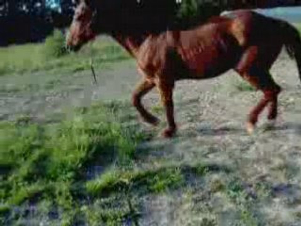 Titou1