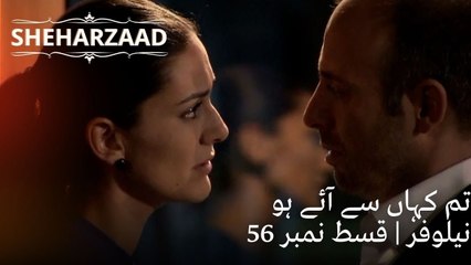 تم کہاں سے آئے ہو نیلوفر | Sheharzaad - قسط نمبر 56