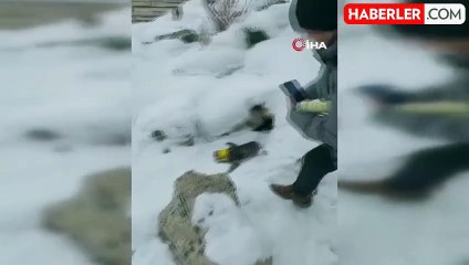 Kediyi Konserve Kutusundan İki Kardeş Kurtardı