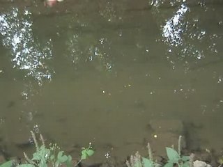 Explosion sous-marine