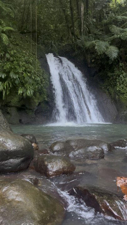Petit coin de paradis