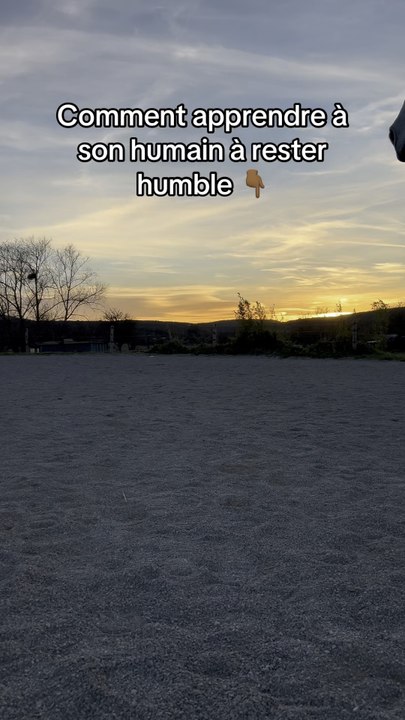 Apprendre à son humain à rester humble