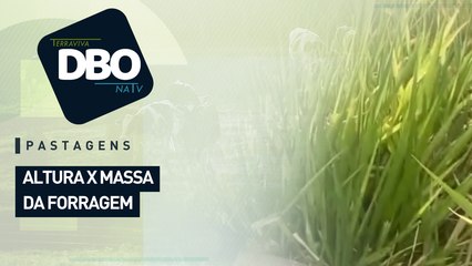 Pastagens: altura x massa da forragem