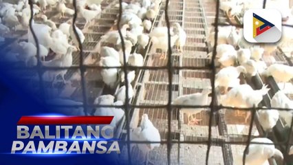 Tulong sa mga magsasakang maaapektuhan ng pagputok ng Bulkang Kanlaon, tiniyak ng D.A.