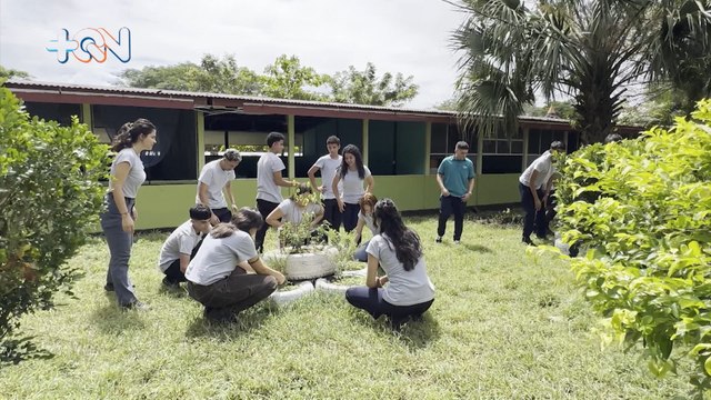 mqn-club Rhizophora- Jóvenes Transformando Colorado de Abangares-111224