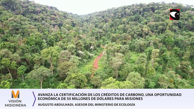 Avanza la certificación de los créditos de carbono, una oportunidad económica de 55 millones de dólares para Misiones 2 ANUARIO