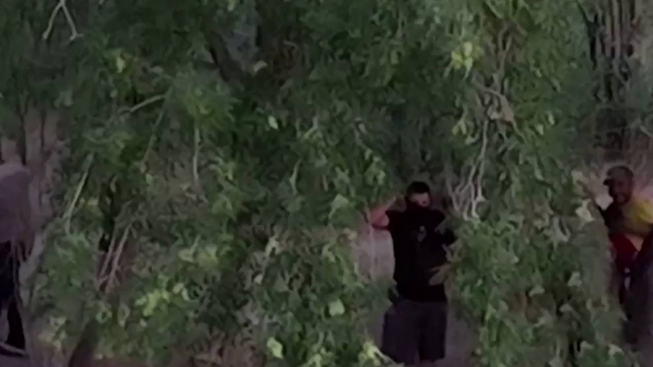 Falsas agencias y coyotes: los intermediarios de una pesadilla para quienes cruzan a EE. UU.