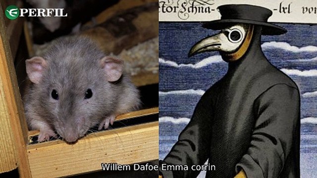 Polêmica dos Ratos, Conversa Inédita e Fim de Namoro: Os Segredos Revelados! - Descubra os mistérios por trás da Peste Negra, família Rodrigues e relacionamento de Senna com Xuxa.