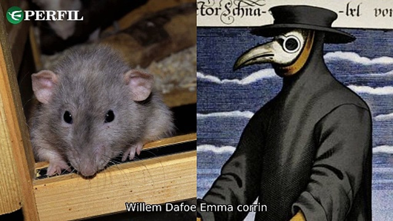 "Polêmica dos Ratos, Conversa Inédita e Fim de Namoro: Os Segredos Revelados!" - Descubra os mistérios por trás da Peste Negra, família Rodrigues e relacionamento de Senna com Xuxa.