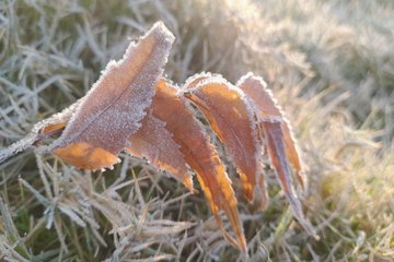 Rajasthan Cold Weather : गुलाबी नगर में कड़ाके की ठंड, प्रदेश में शीतलहर का प्रकोप