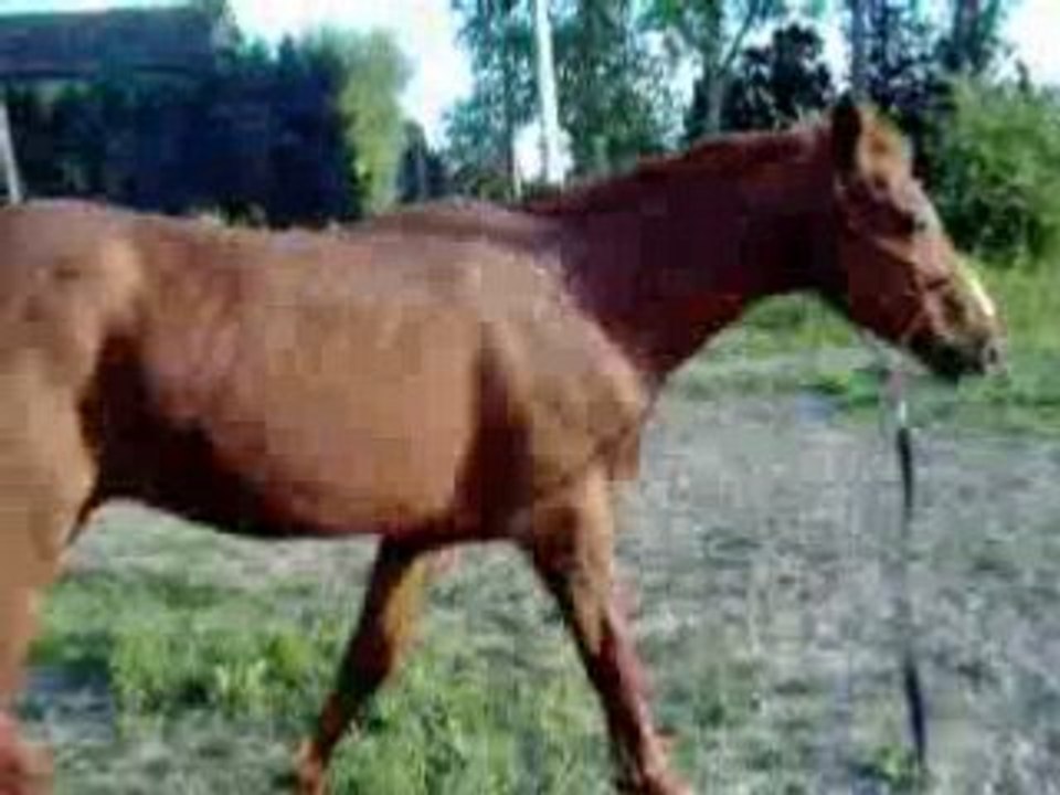 Titou2