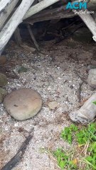 Explore beach cubbies this summer