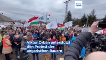 Weitere Bauernproteste in Polen und Ungarn