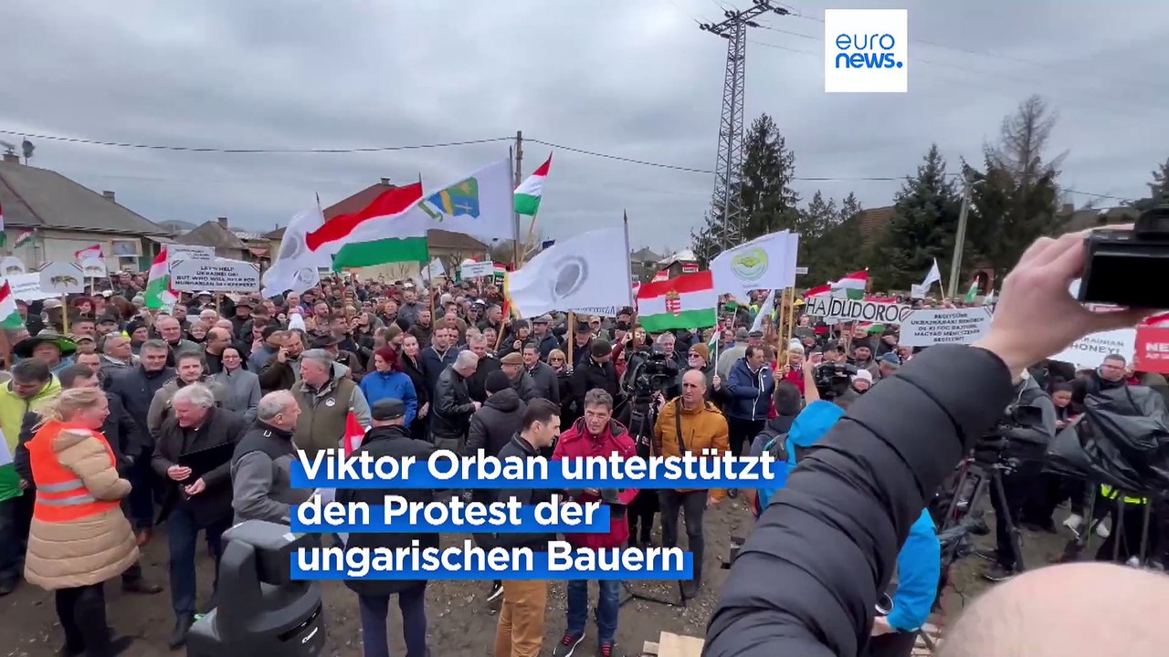 Weitere Bauernproteste in Polen und Ungarn