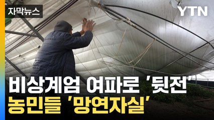 [자막뉴스] 뒷전으로 밀려난 '민생'...계엄에 농민들 '망연자실'  / YTN
