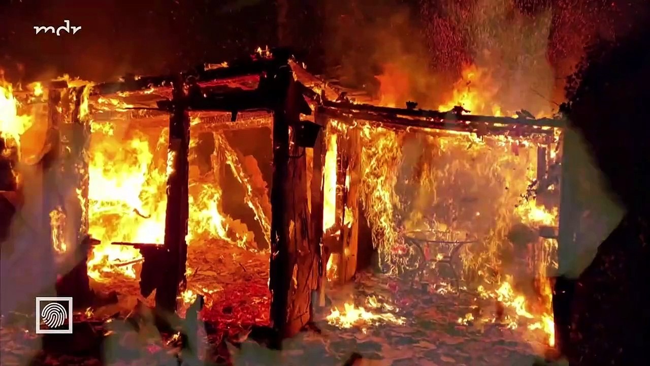 Kripo live vom 01.Dezember 2024