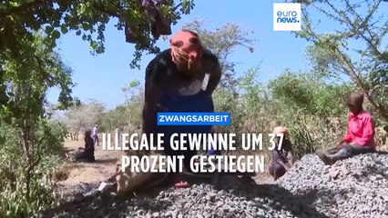 218 Milliarden Euro: Profite aus Zwangsarbeit laut ILO stark gestiegen