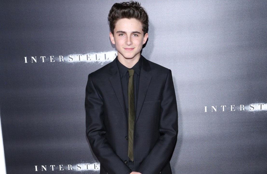 Timothee Chalamet found Bob Dylan's praise to be 'deeply validating'