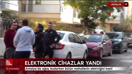Antalya'da ağaç budarken bütün mahallenin elektriğini kesti, elektronik cihazlar yandı
