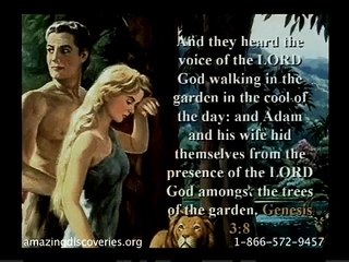 O Ataque Total 29 - Dons de Profecia