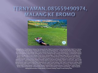 Ternyaman, 085659490974, Malang Ke Bromo
